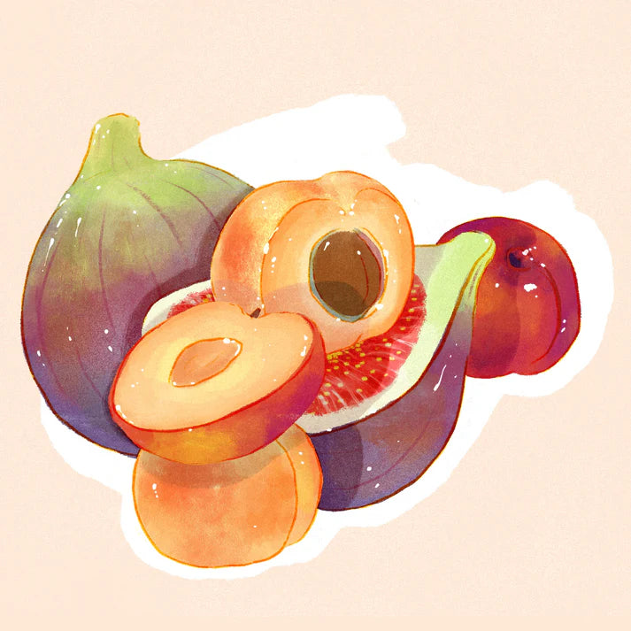 Hydrangea - Alo Bona Zuria - Ethiopian Landrace