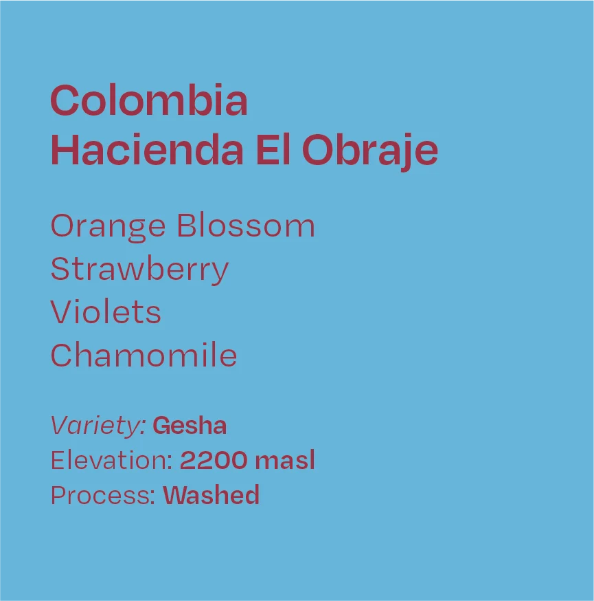 Helm Coffee - Hacienda El Obraje (Colombia) - Washed Gesha | 50g