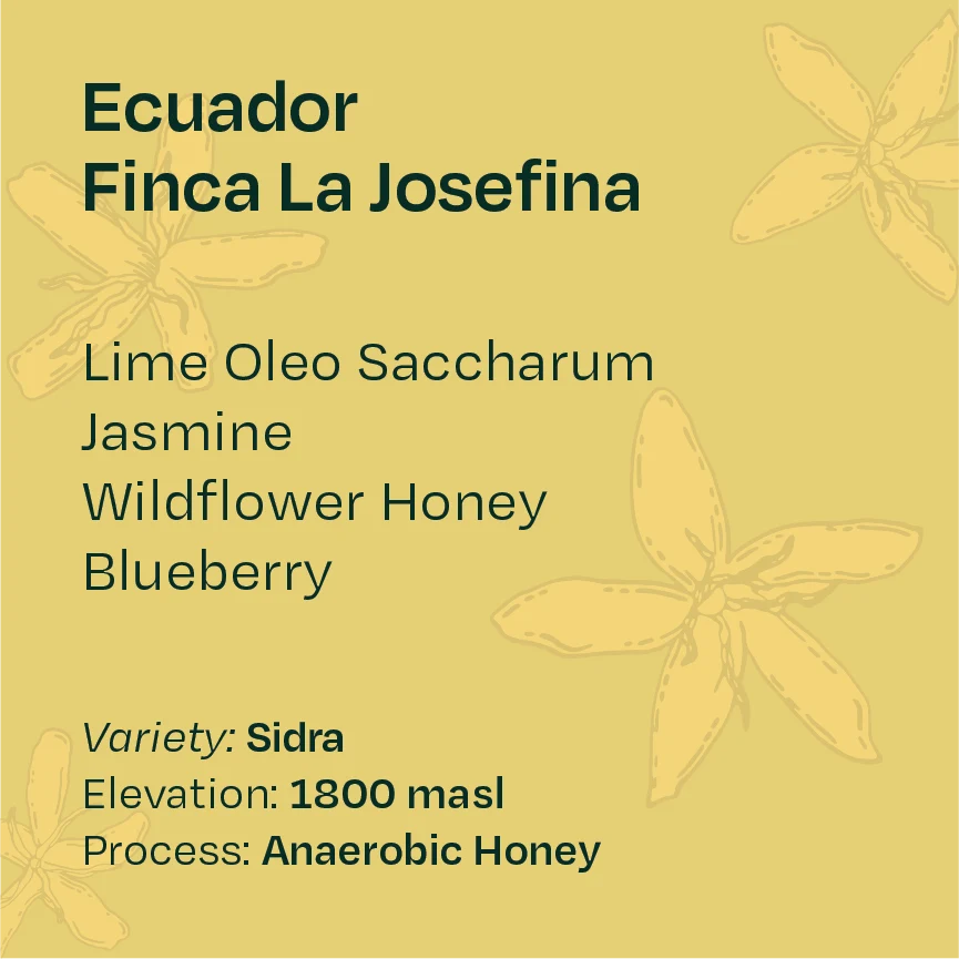 Helm Coffee - Finca La Josefina (Ecuador) - Anaerobic Honey Sidra | 50g
