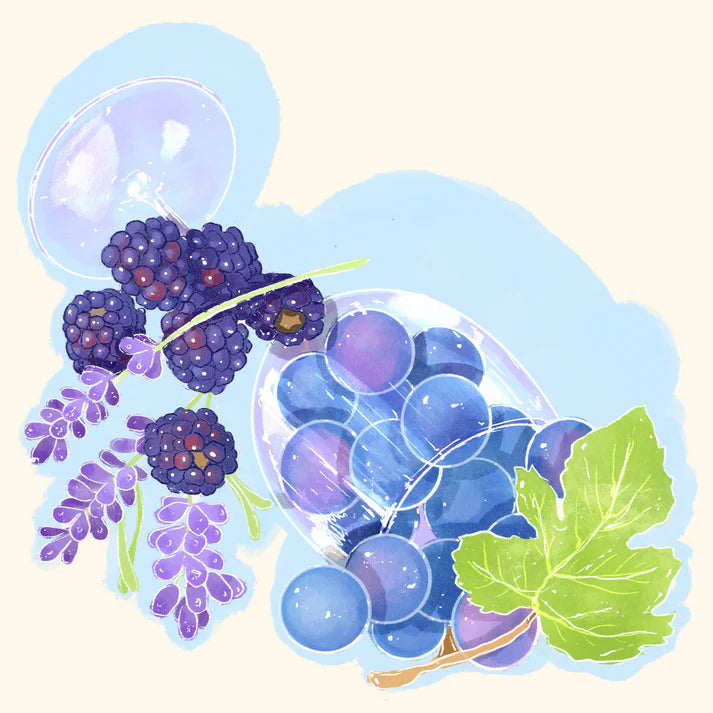 Hydrangea - Karinga AA - Kenyan Varietals