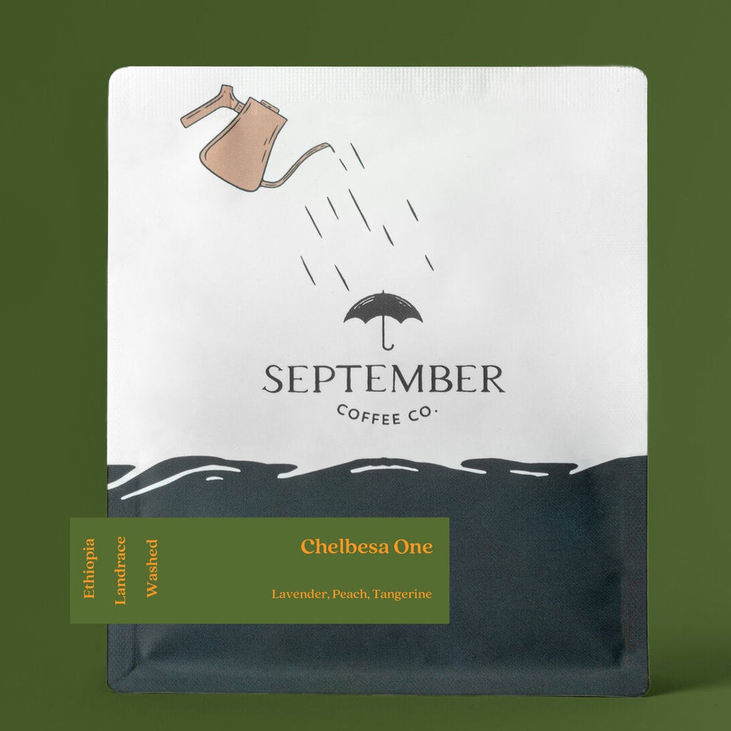 September - Chelbesa One (Ethiopia) - Landrace | 50g