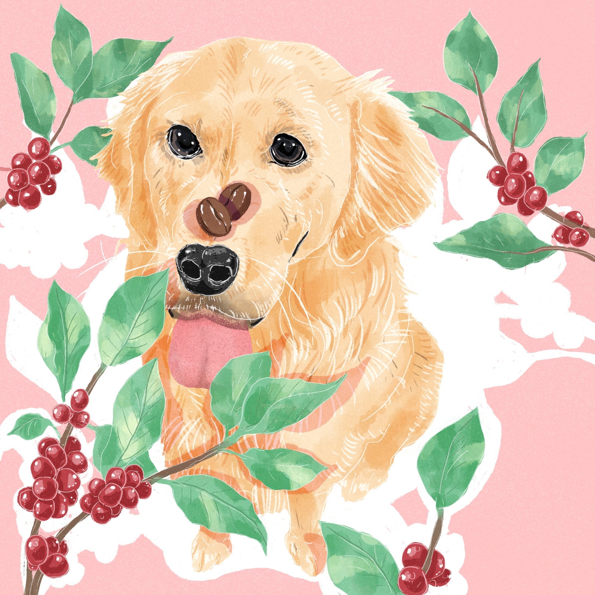 Hydrangea - Hacienda La Esmaralda Nido 9FB - Gesha | 30 g