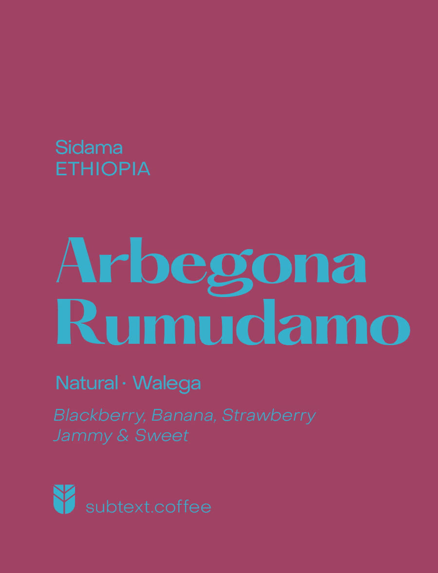 Subtext - Arbegona Rumudamo (Ethiopia) - Natural Walega | 50g