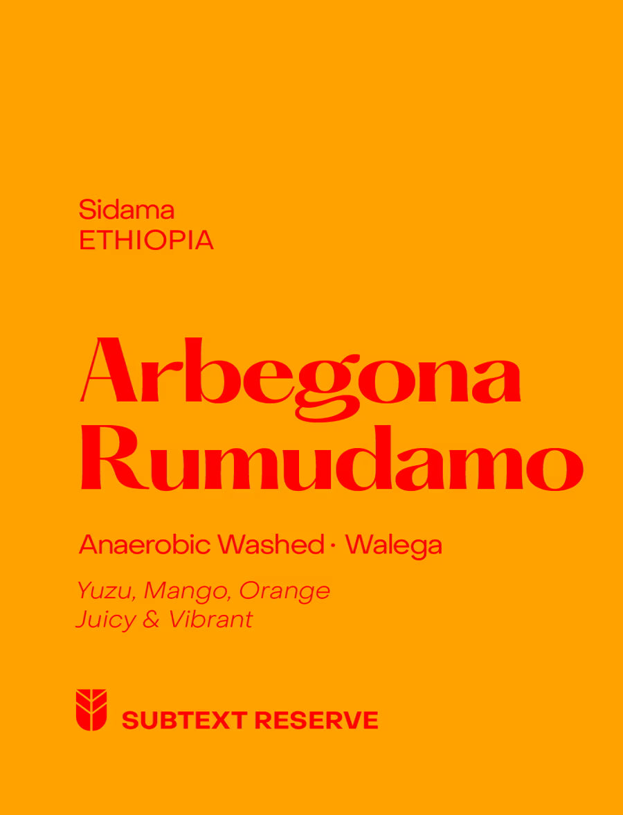 Subtext - Arbegona Rumudamo (Ethiopia) - Anaerobic Washed Walega | 50g