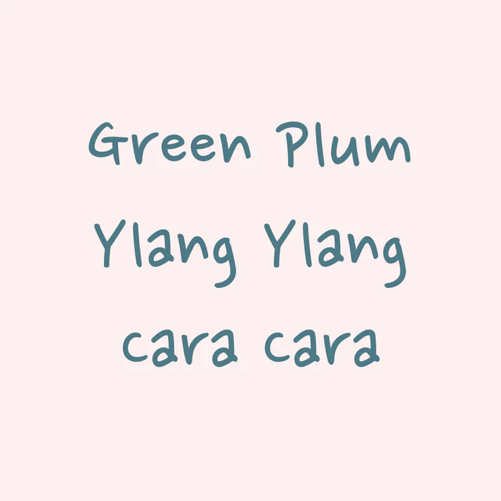 Hydrangea - Finca El Morito - Gesha (OTL Roast) | 50g