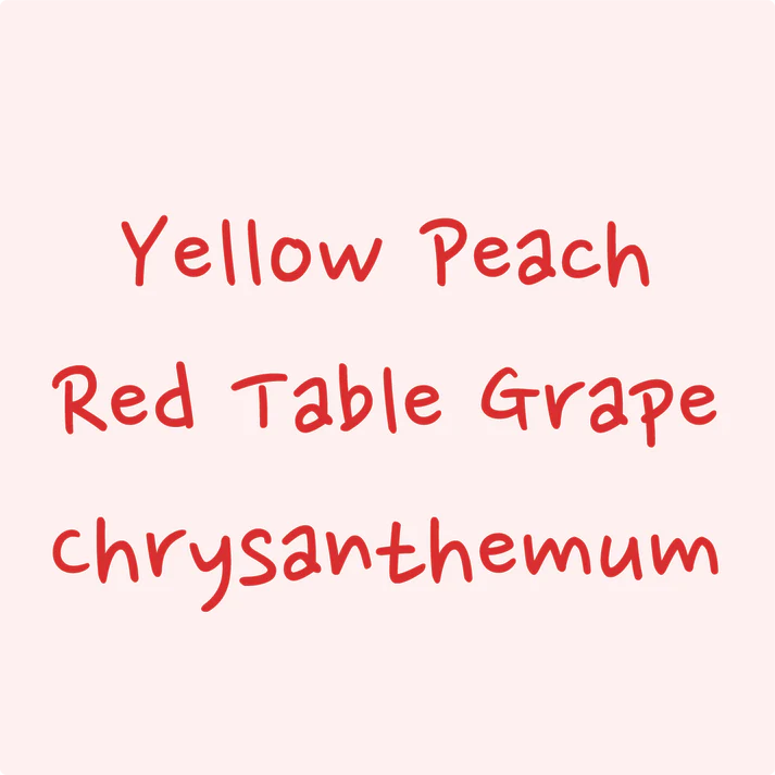 Hydrangea - El Burro Lot 16 (Panama) - Gesha | 50g