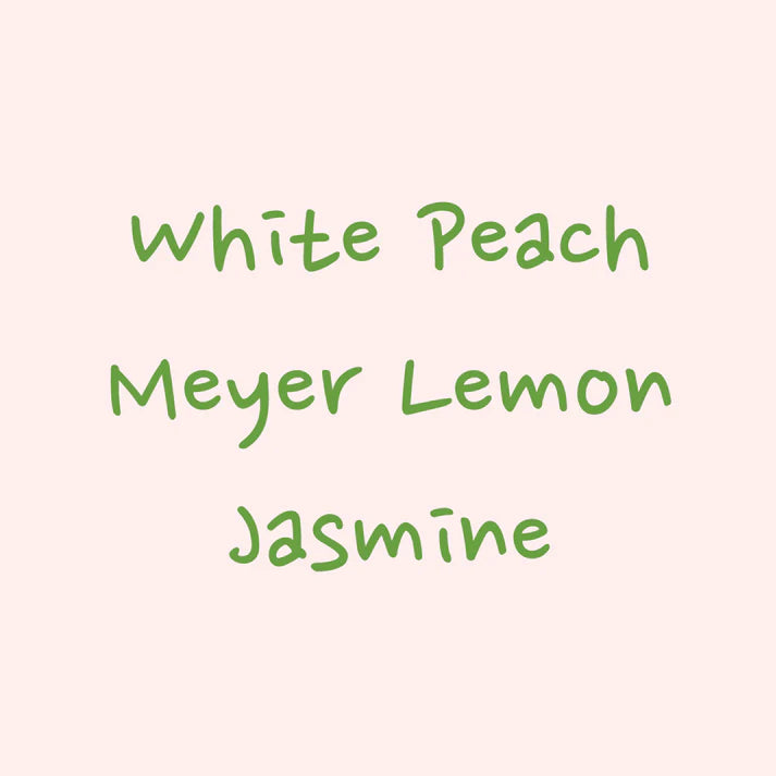 Hydrangea - El Burro Lot 17 (Panama) - Gesha | 50g