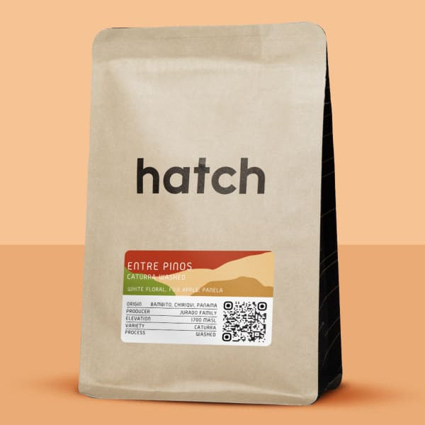 Hatch - Entre Pinos (Panama) - Caturra | 50g