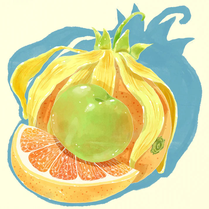 Hydrangea - Finca El Morito - Gesha (OTL Roast) | 50g