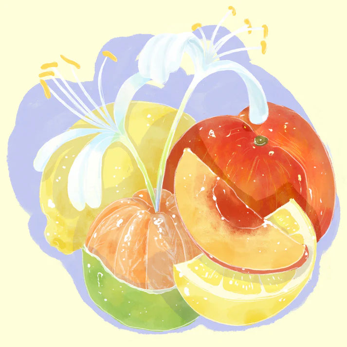 Hydrangea - Habtamu Fekadu Aga (Ethiopia) - Landrace | 50g