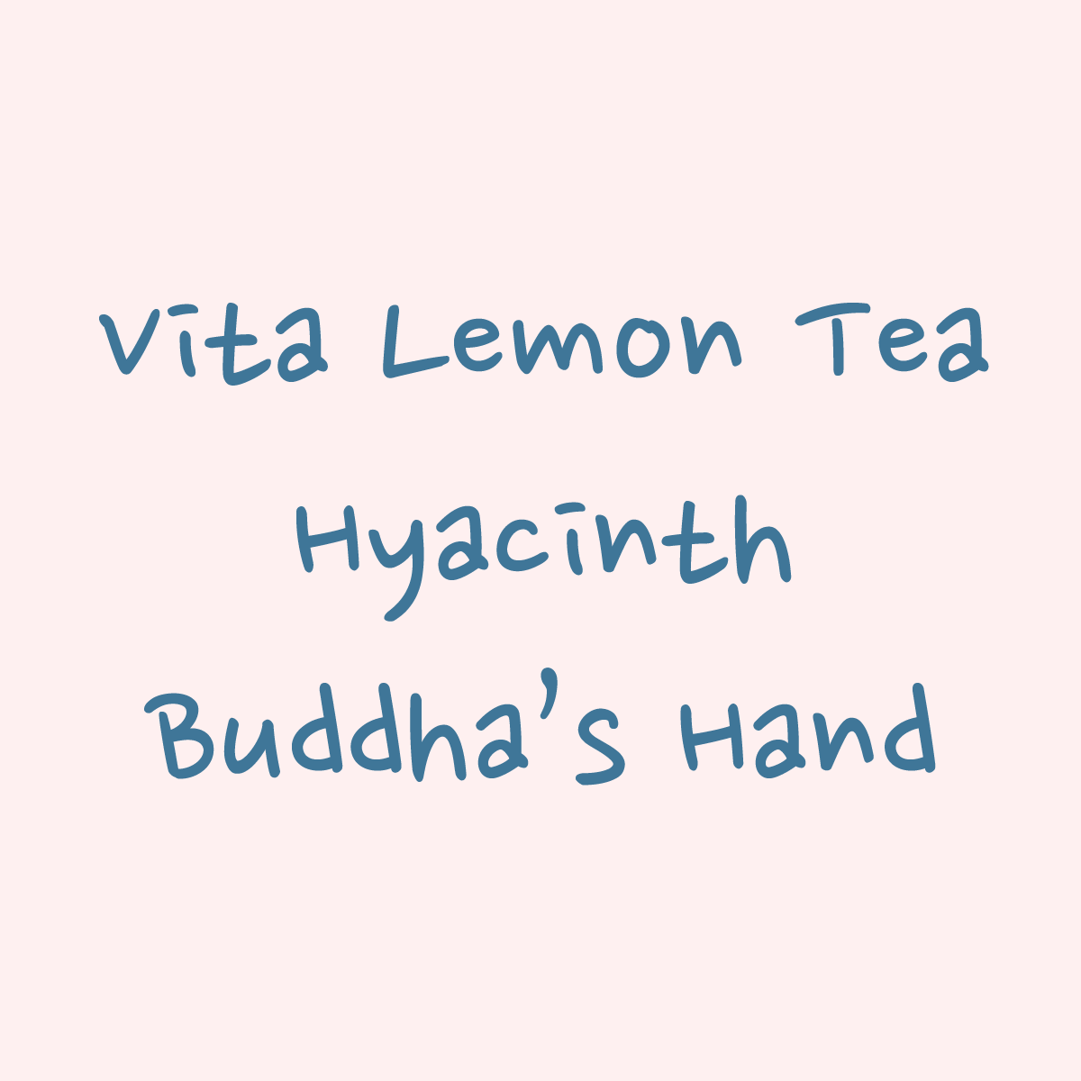 Hydrangea - Janson Lot 1002 - Gesha | 50 g