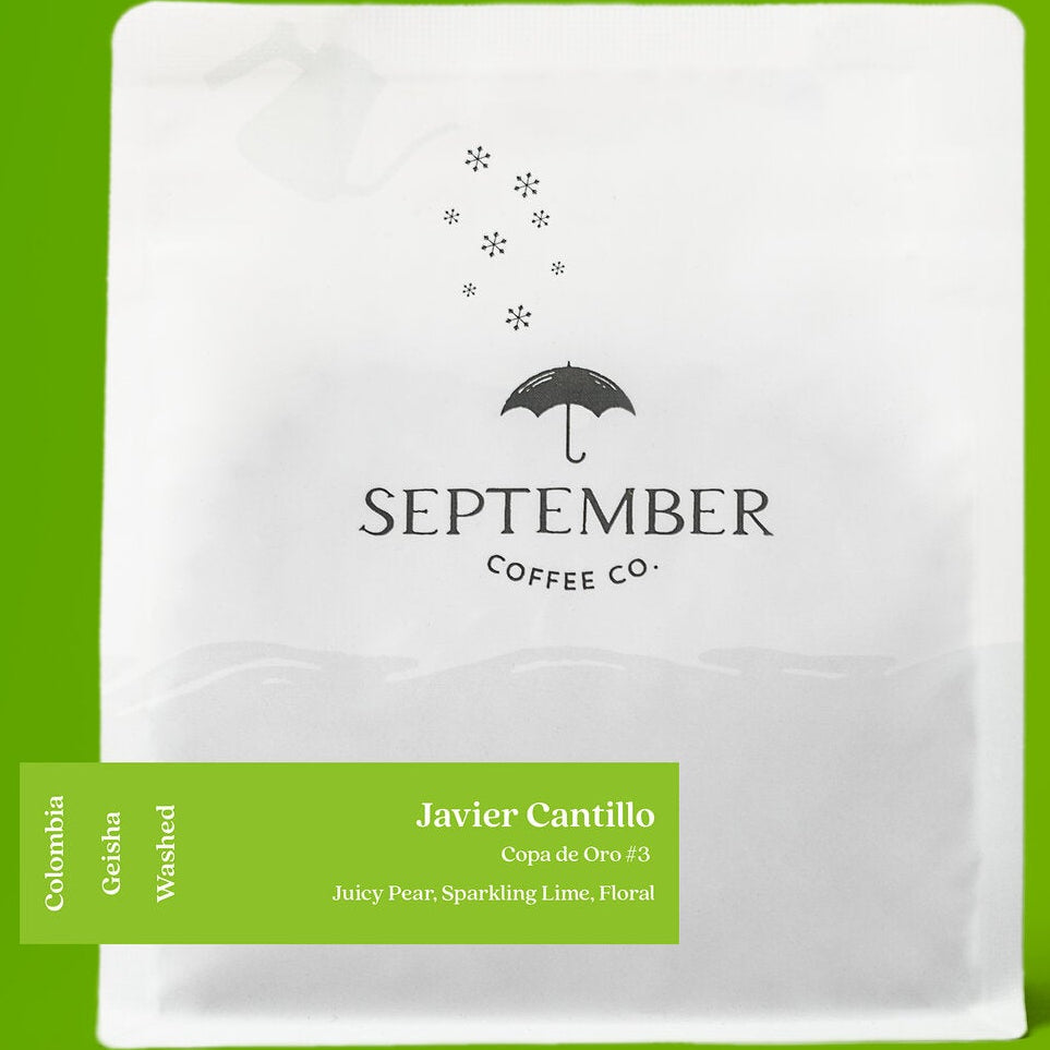 September - Javier Cantillo - Copa De Oro (Colombia) - Gesha | 50g