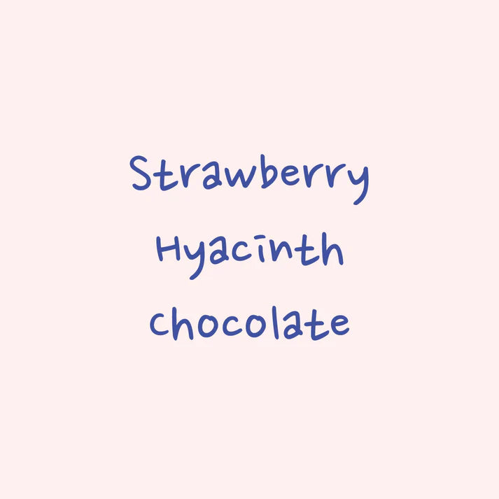 Hydrangea - Juicy Strawberry - Field Blend