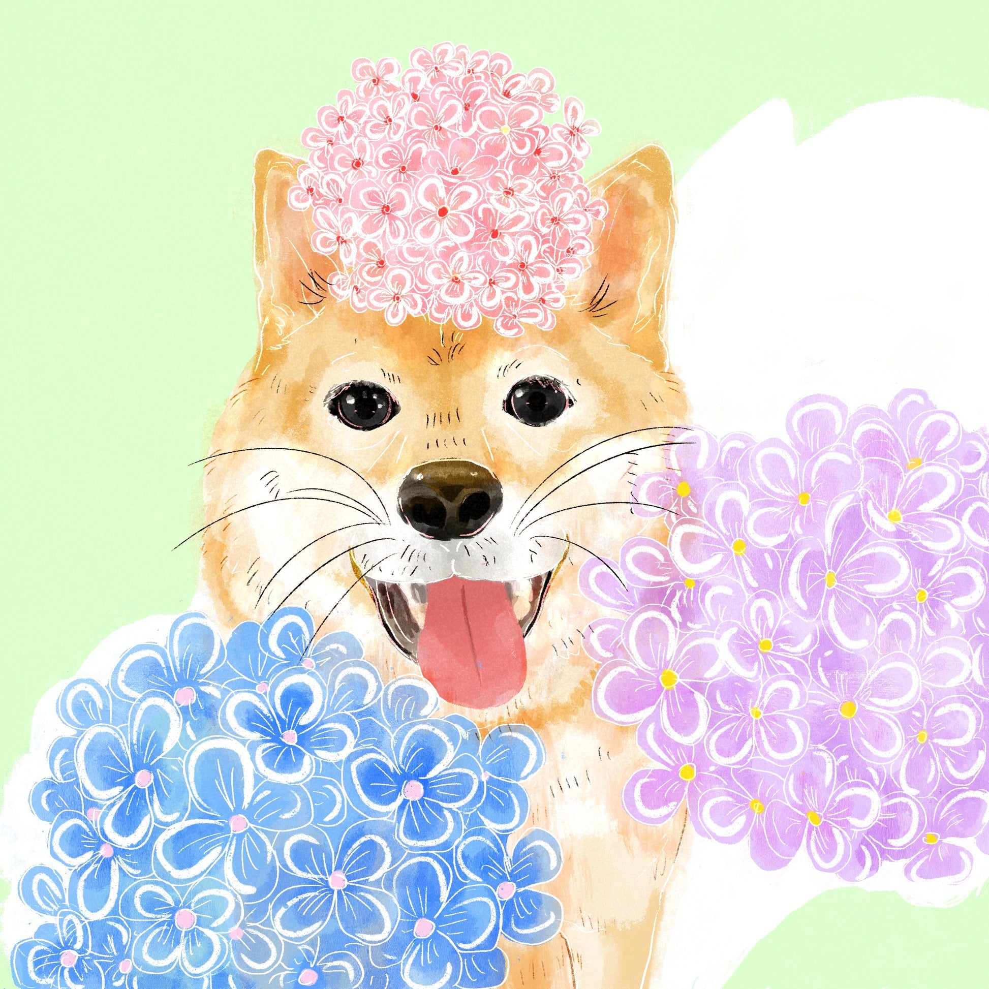 Hydrangea - Nuguo 910 NWS - Gesha | 60 g