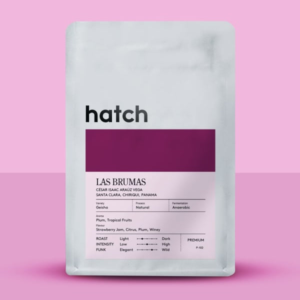 Hatch - Las Brumas (Panama) - Gesha | 50g