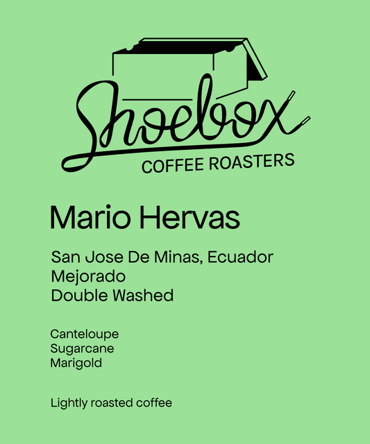 Shoebox - Mario Hervas (Ecuador) - Mejorado | 50g
