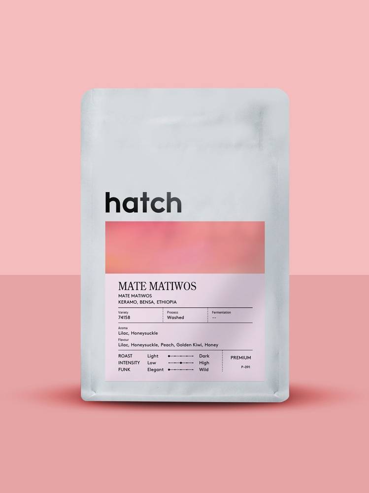 Hatch - Mate Matiwos - 74158