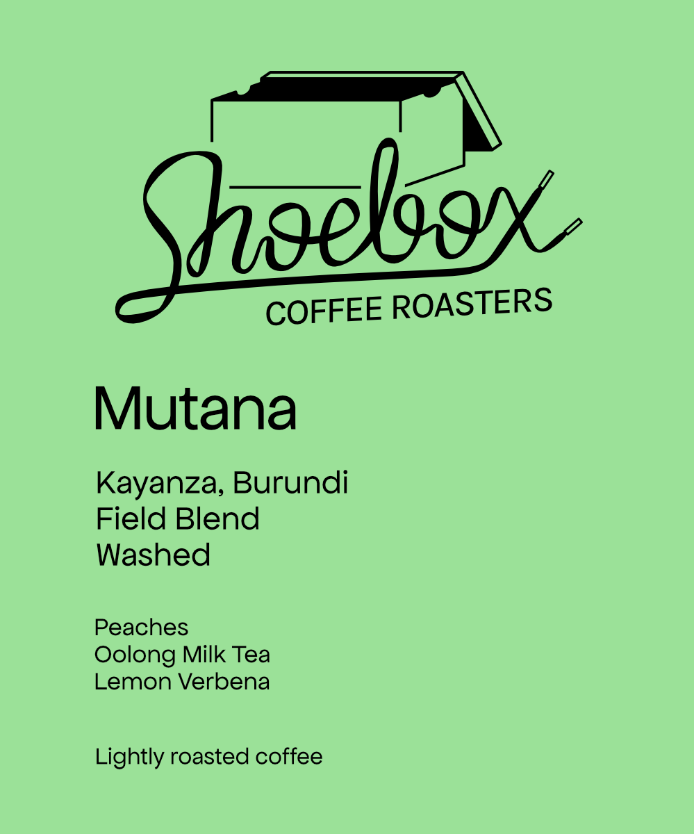 Shoebox - Mutana Hill (Burundi) - Red Bourbon & Mibirizi | 50g