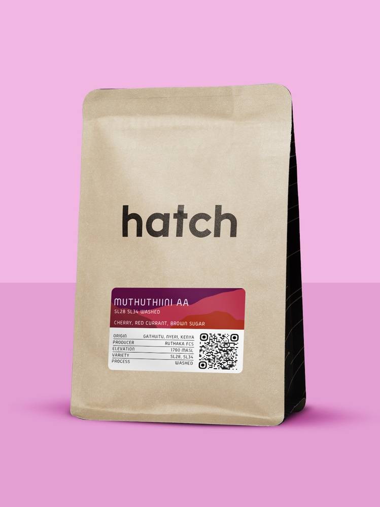 Hatch - Muthuthiini AA - SL28/SL34