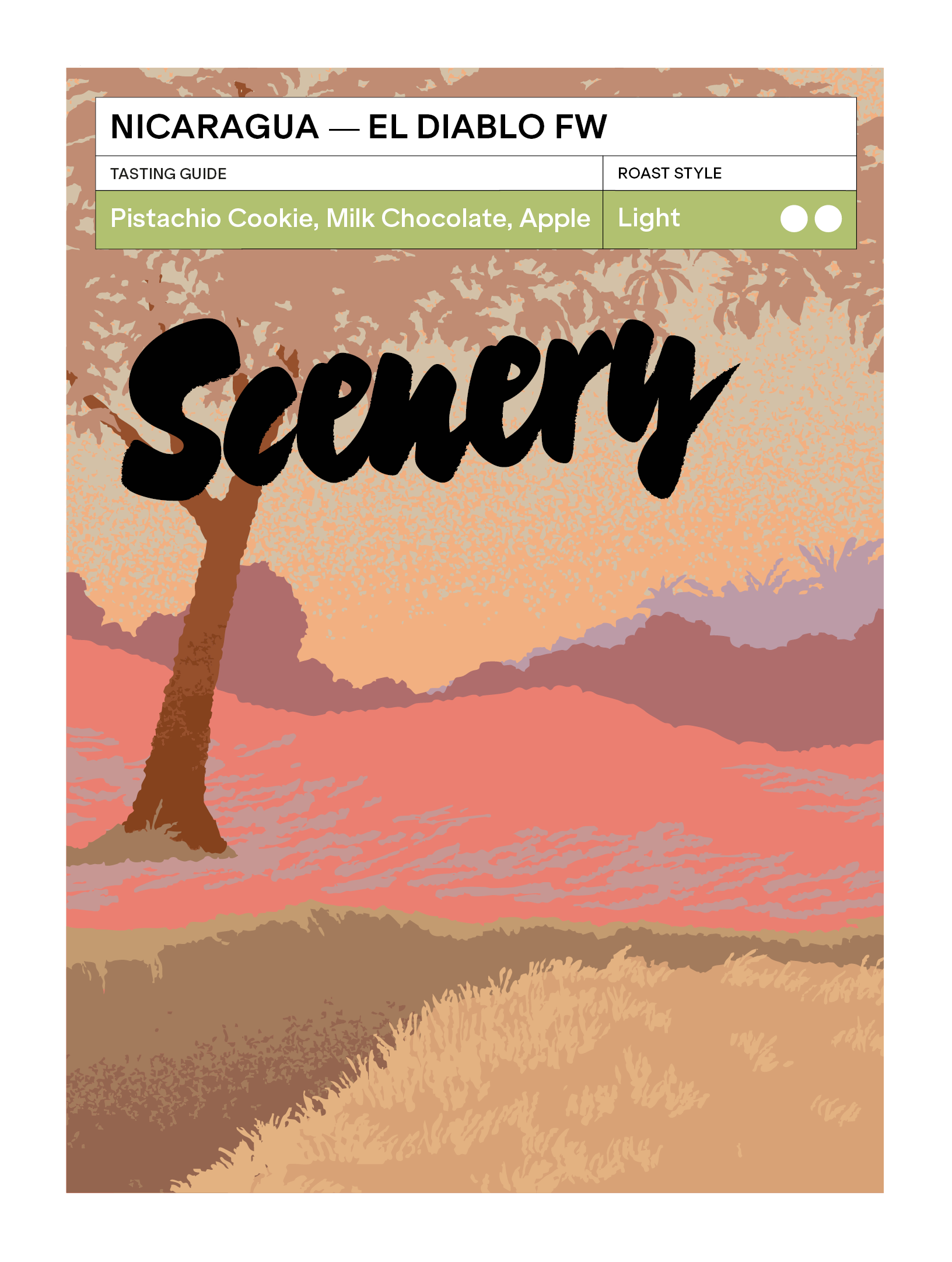 Scenery - El Diablo (Nicaragua) - Washed Field Blend | 200g