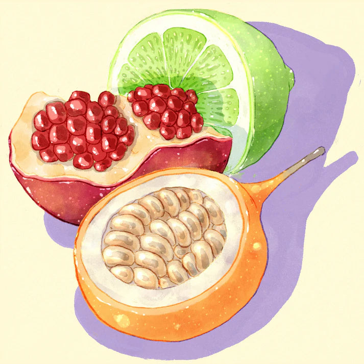 Hydrangea - Finca Los Capachos (Colombia) - Pink Bourbon + Gesha | 50g