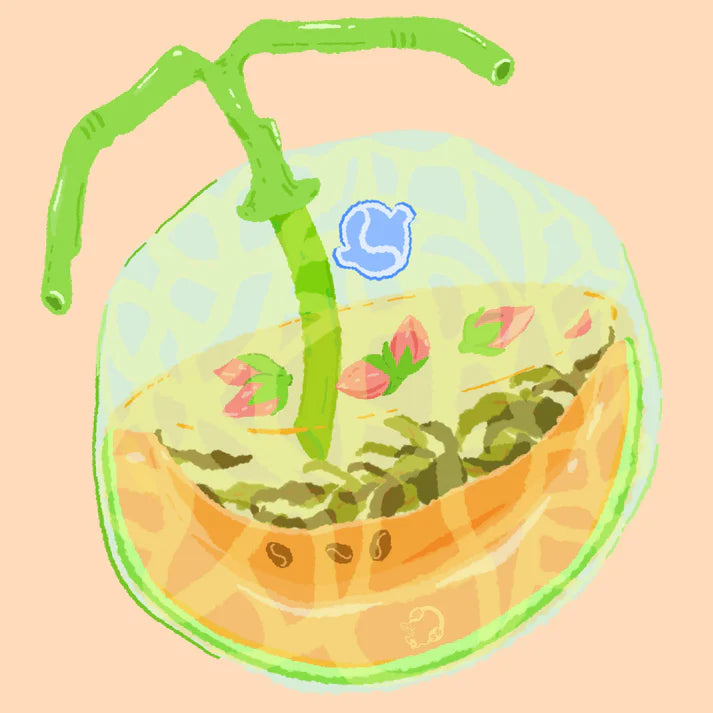 Hydrangea - Rose Tea - Castillo