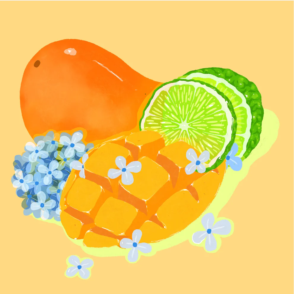 Hydrangea - Cafe Granja La Esperanza - Sudan Rume