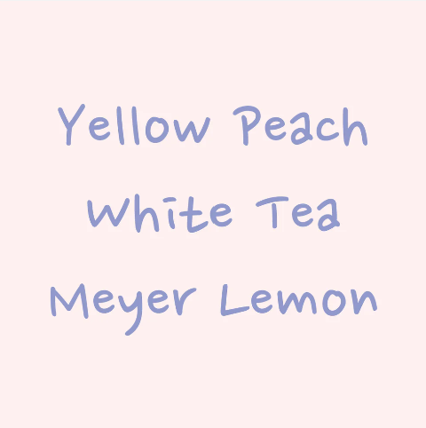 Hydrangea - Janson Lot 909 - Gesha