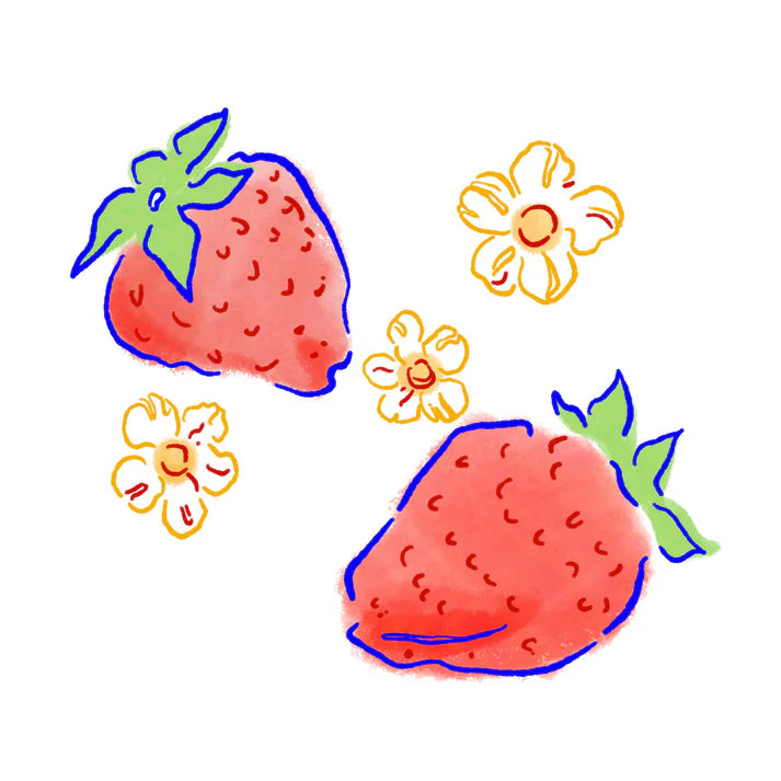 Hydrangea - Juicy Strawberry - Field Blend