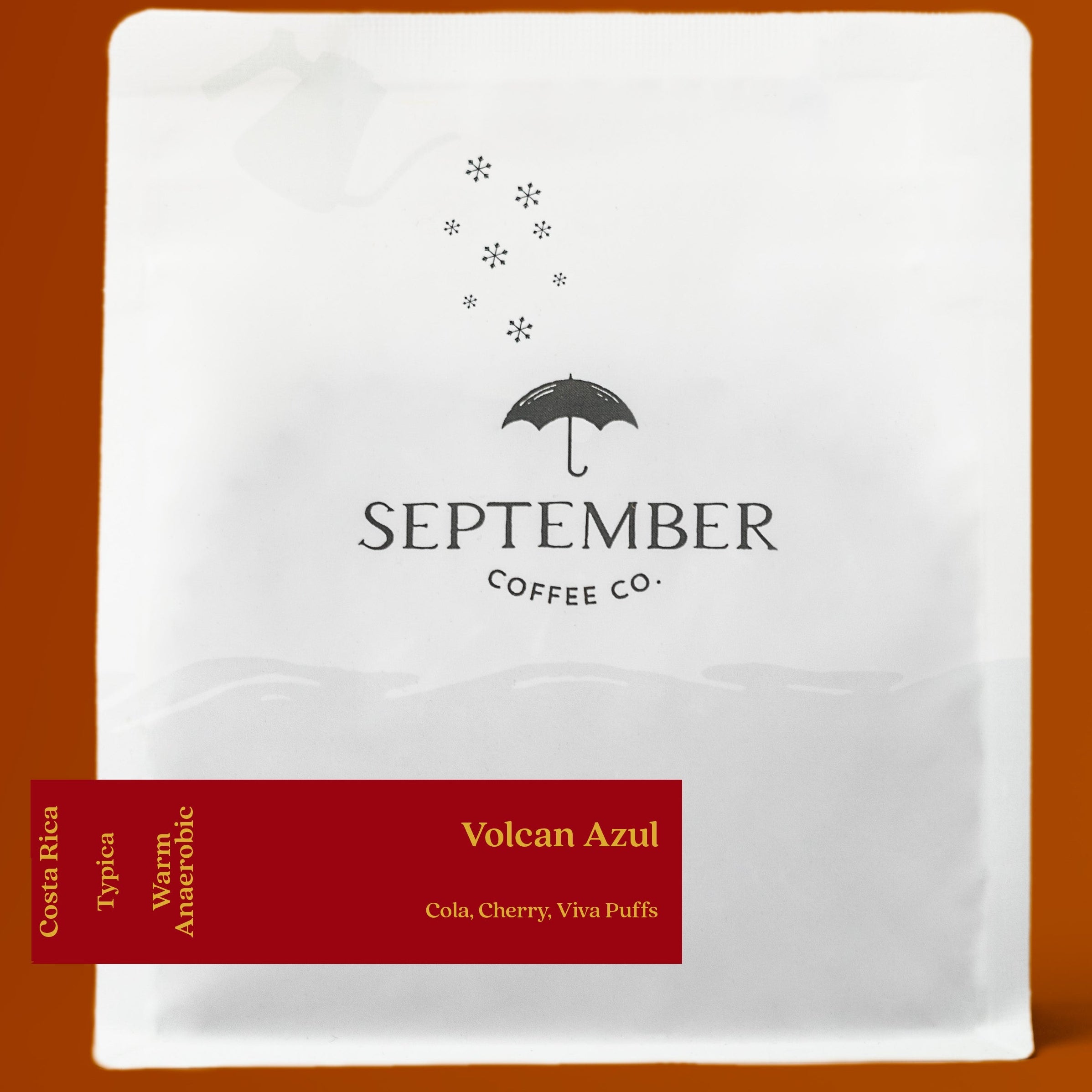 September - Volcan Azul - Typica | 50g