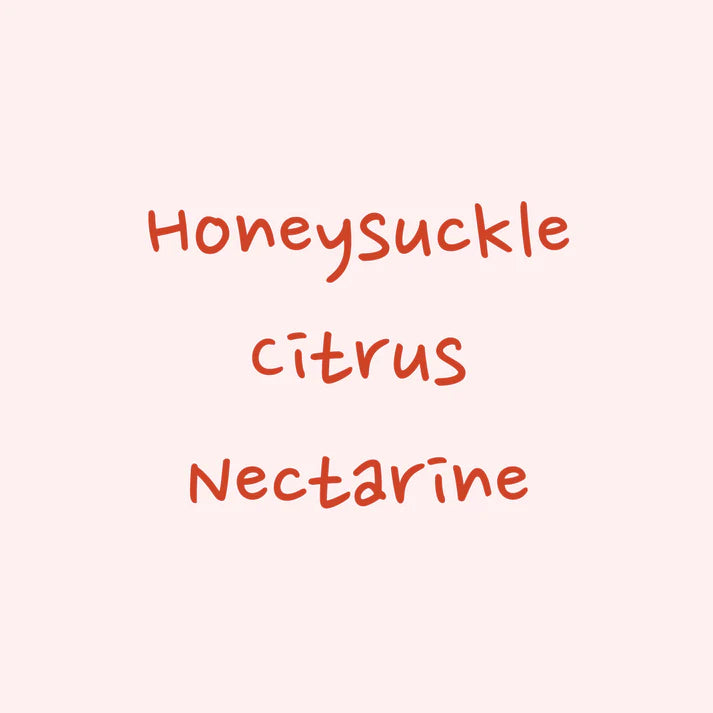 Hydrangea - Habtamu Fekadu Aga (Ethiopia) - Landrace | 50g