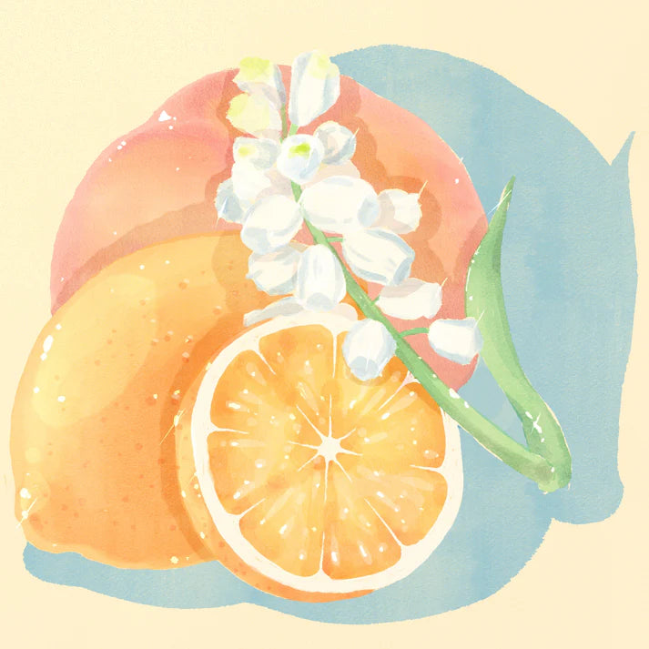 Hydrangea - Finca El Socorro (Guatemala) - Gesha | 50g