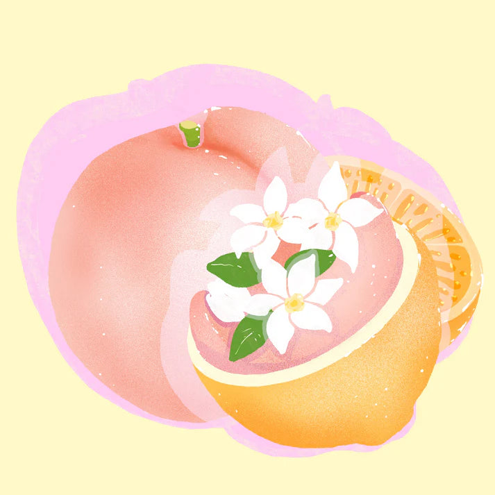 Hydrangea - El Burro Lot 17 (Panama) - Gesha | 50g