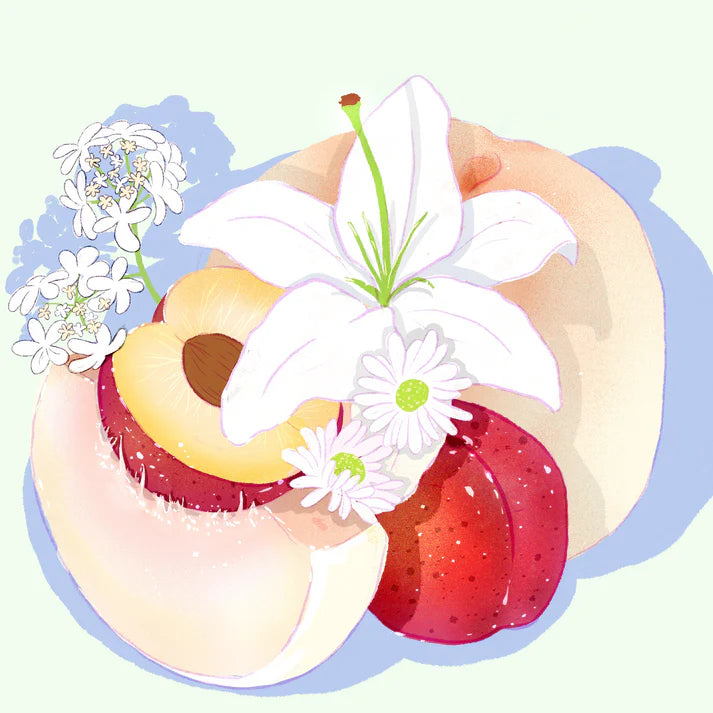 Hydrangea - Carmen Lot 8 - Gesha (Ultralight)