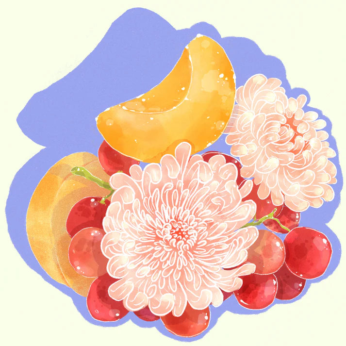 Hydrangea - El Burro Lot 16 (Panama) - Gesha | 50g