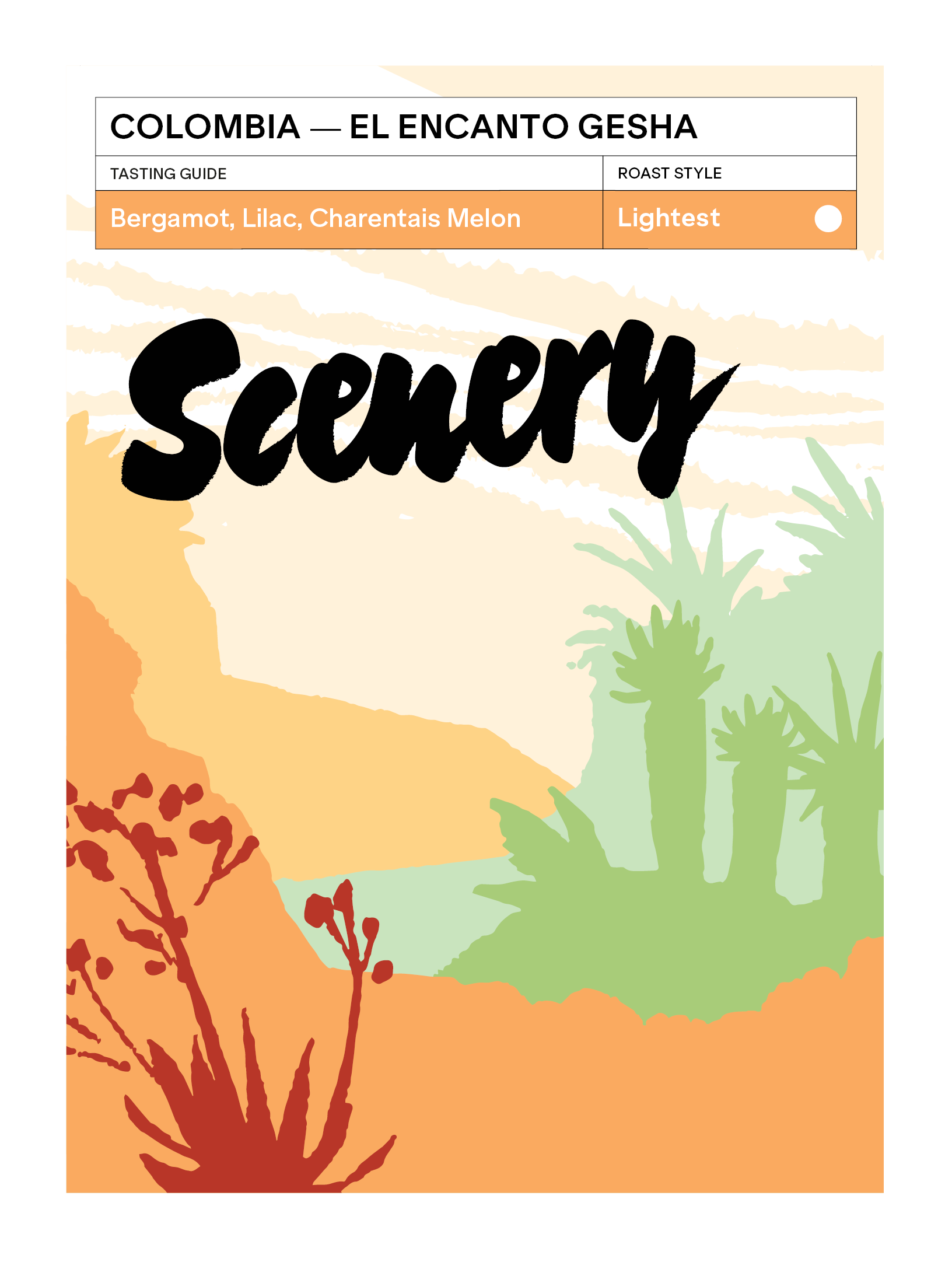 Scenery - El Encanto (Colombia) - Gesha | 50g