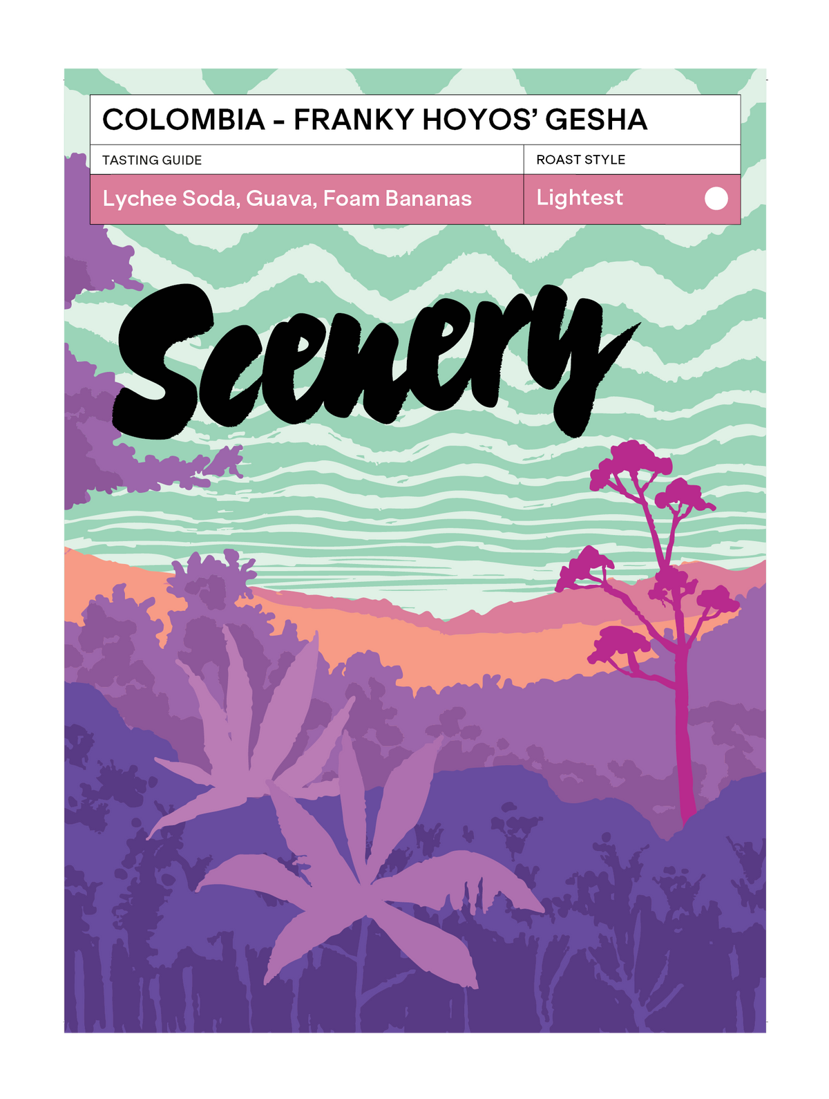 Scenery - Franky Hoyos (Colombia) - Washed Gesha | 50g