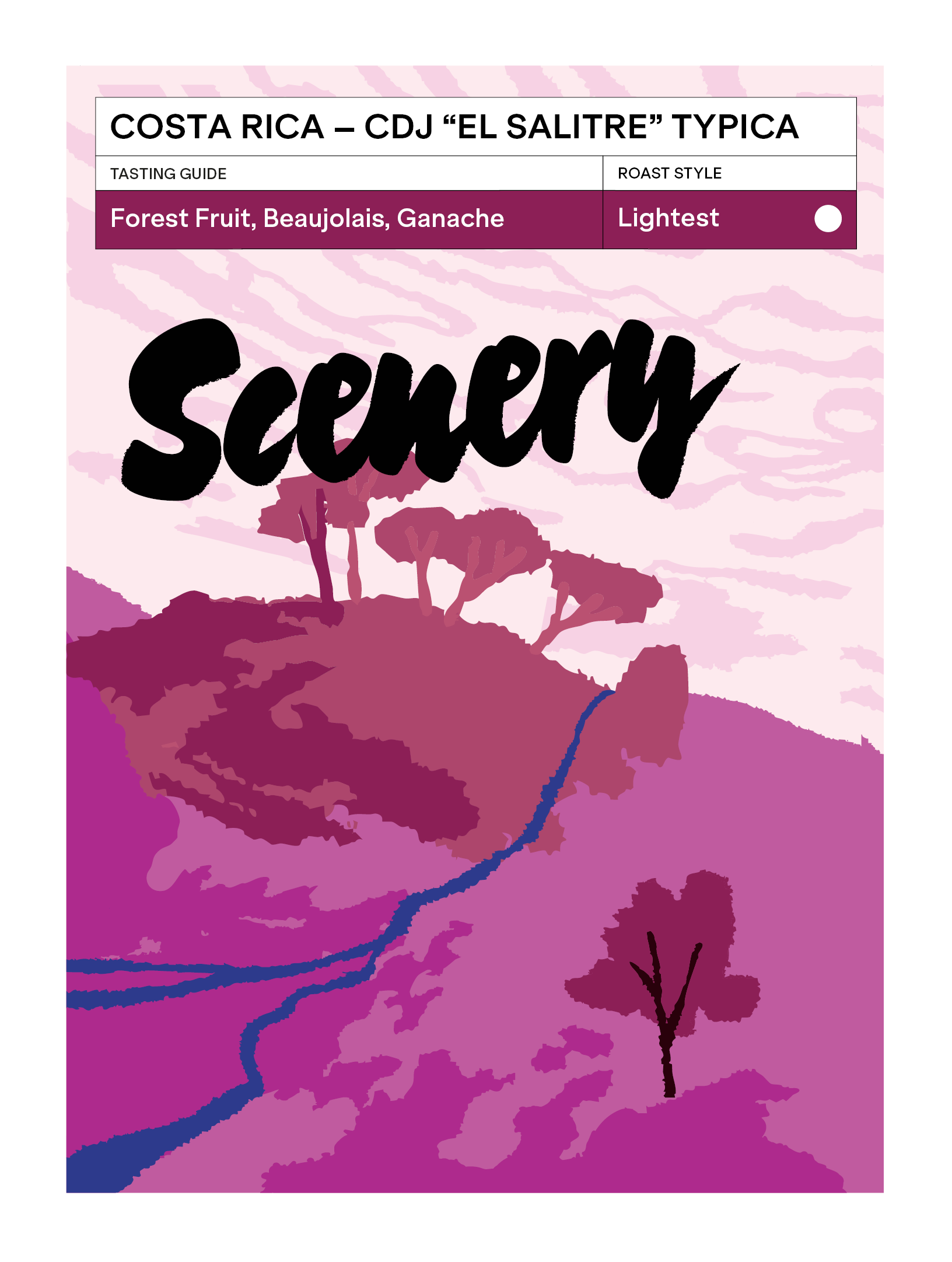 Scenery - CDJ "El Salitre" - Typica | 50 or 200g