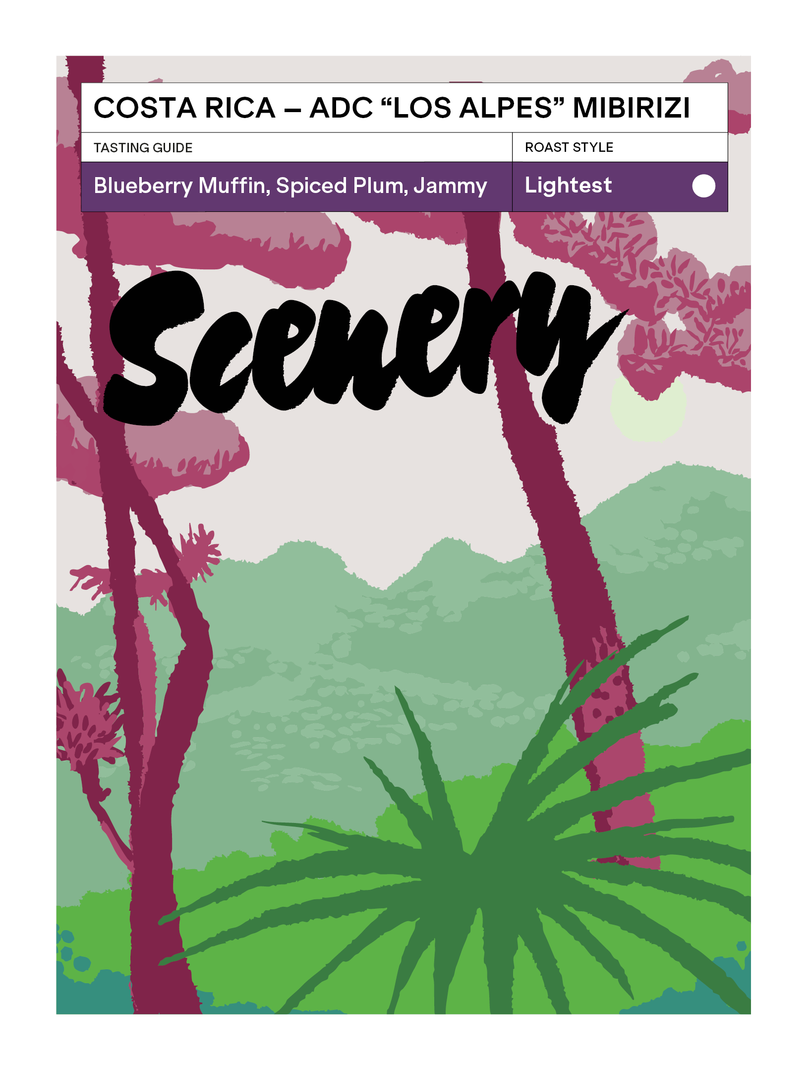 Scenery - Aromas del Chirripó "Los Alpes" (Costa Rica) - Mibirizi | 50g