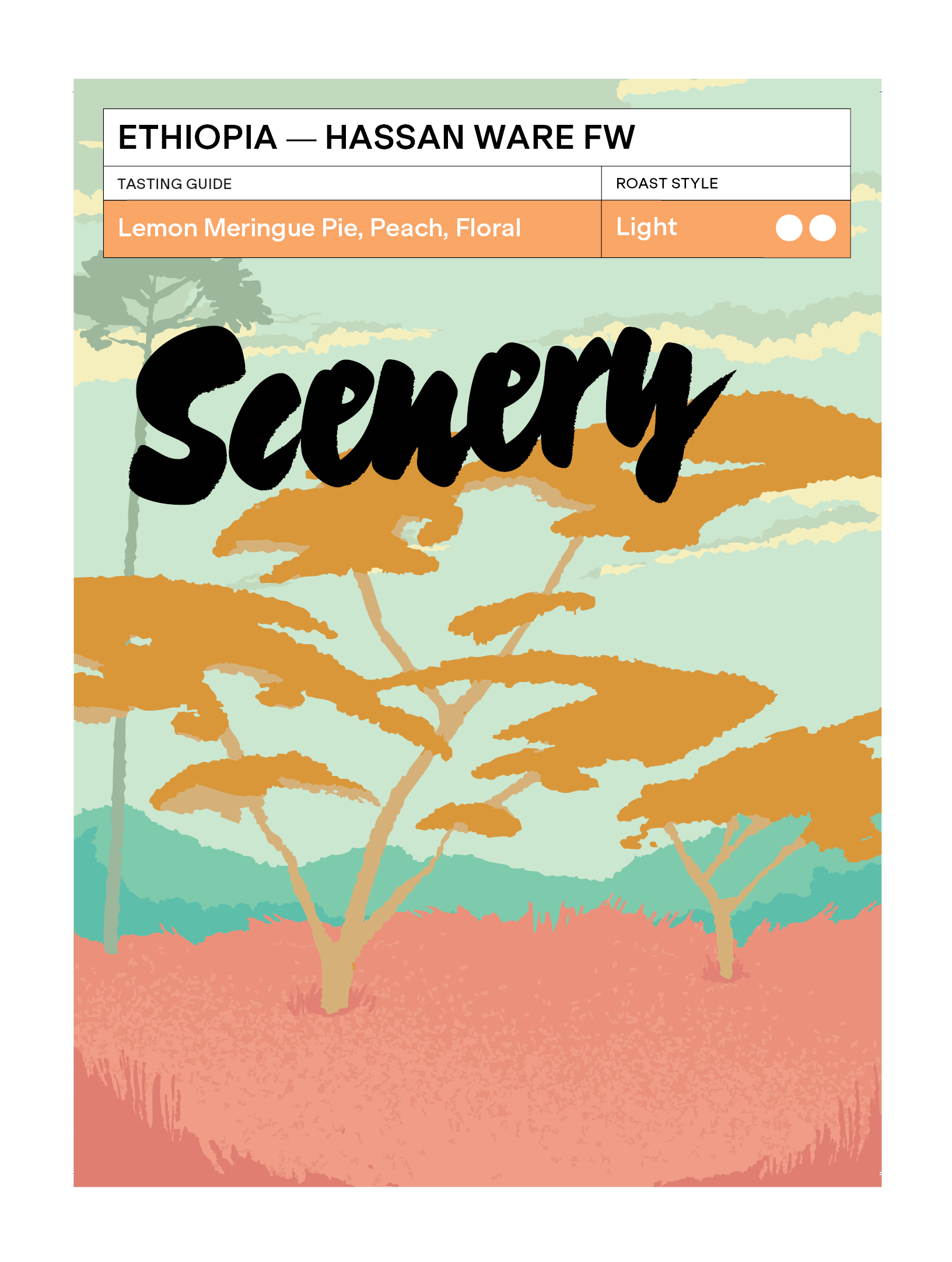 Scenery - Hassan Ware (Ethiopia) - Washed 74112/74158 | 200g