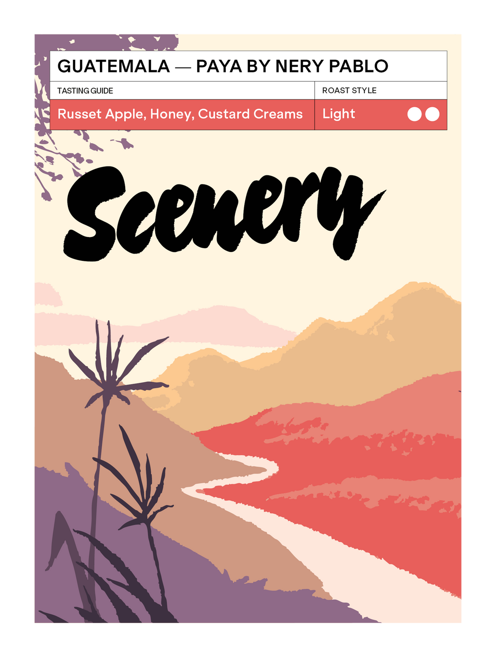 Scenery - Paya by Nery Pablo (Guatemala) - Catuai, Bourbon | 200g
