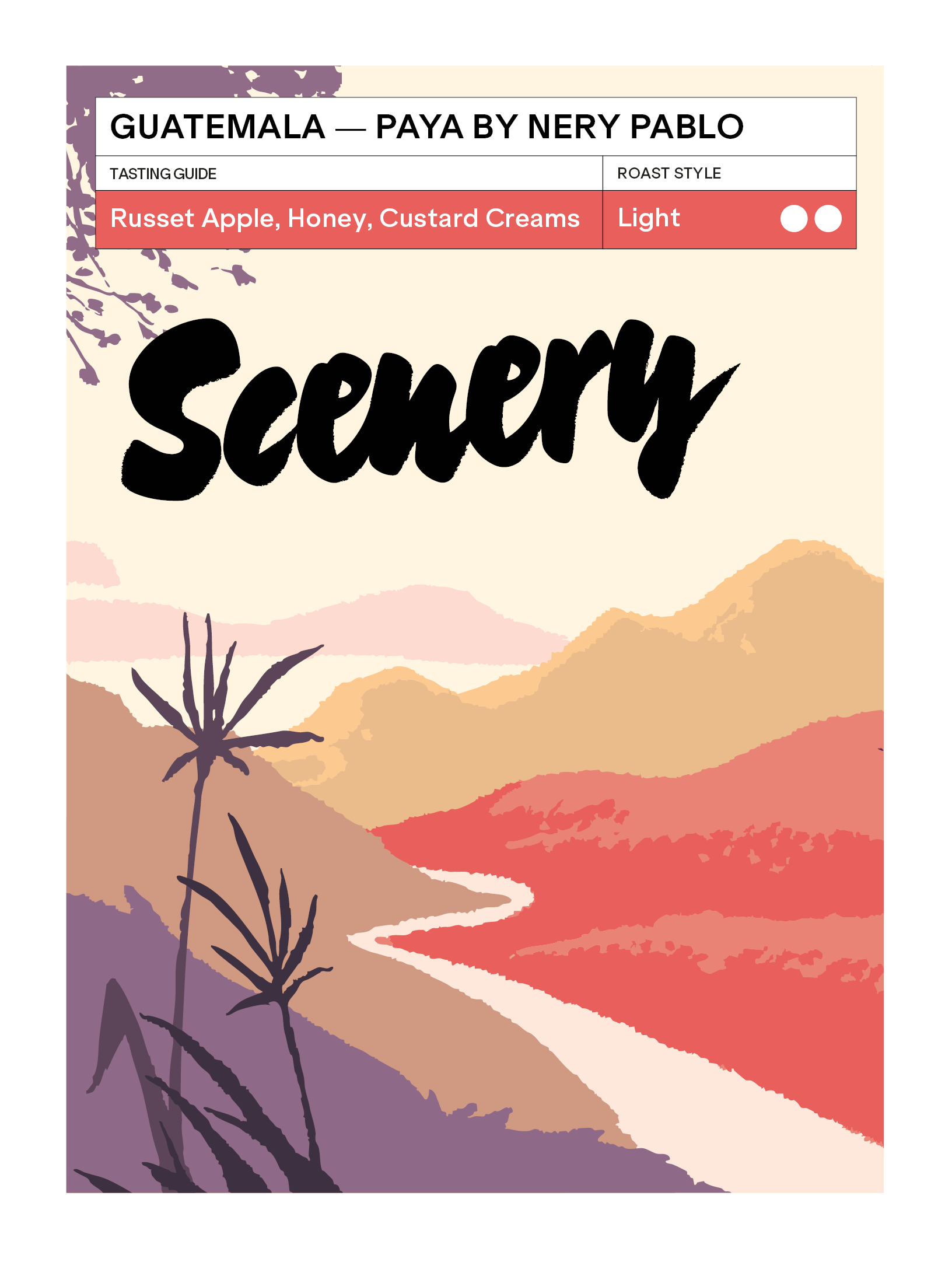 Scenery - Paya by Nery Pablo (Guatemala) - Catuai, Bourbon | 200g