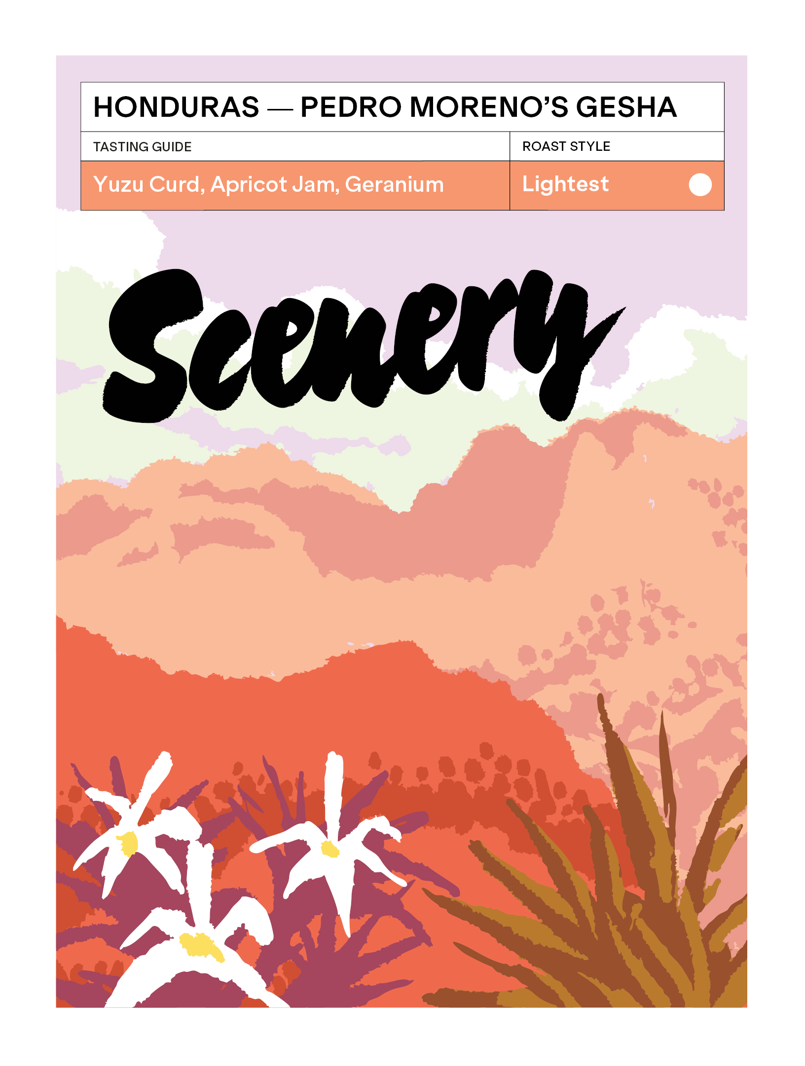 Scenery - Pedro Moreno (Honduras) - Gesha | 50g