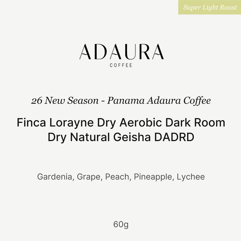 Big Sur - Finca Lorayne Aerobic DADRD (Panama) - Gesha | 60g