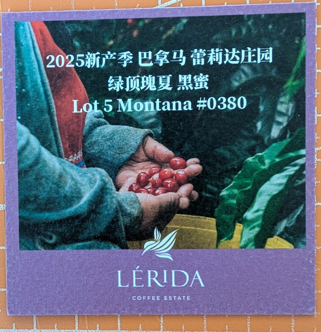 Big Sur - Finca Lerida (Panama) - Honey Gesha | 30g