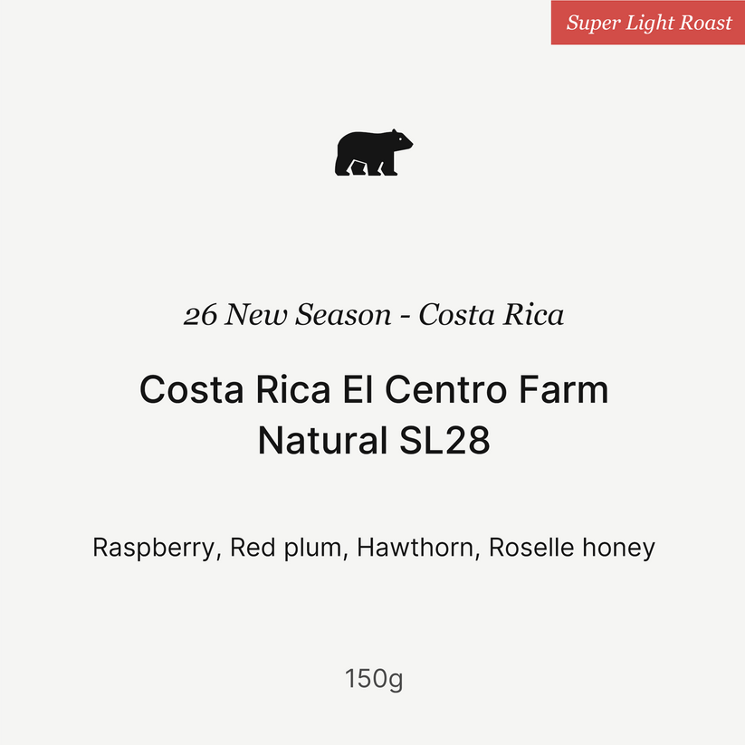 Big Sur - El Centro Farm (Costa Rica) - SL28 | 50g
