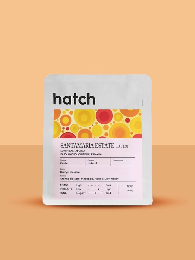 Hatch - Santamaria Estate Lot 131 - Gesha | 50g