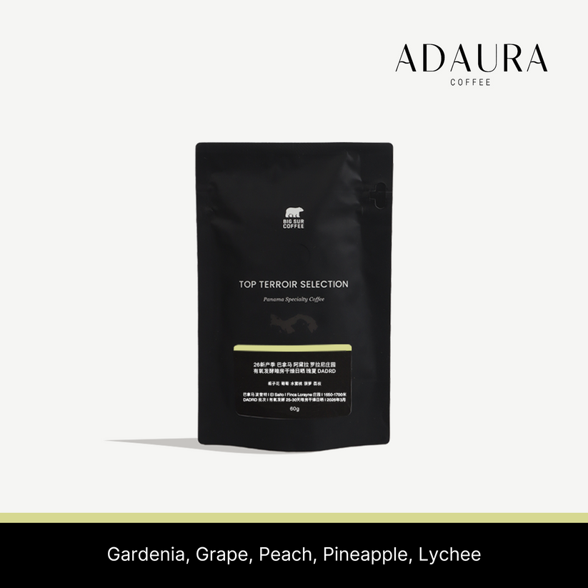 Big Sur - Finca Lorayne Aerobic DADRD (Panama) - Gesha | 60g
