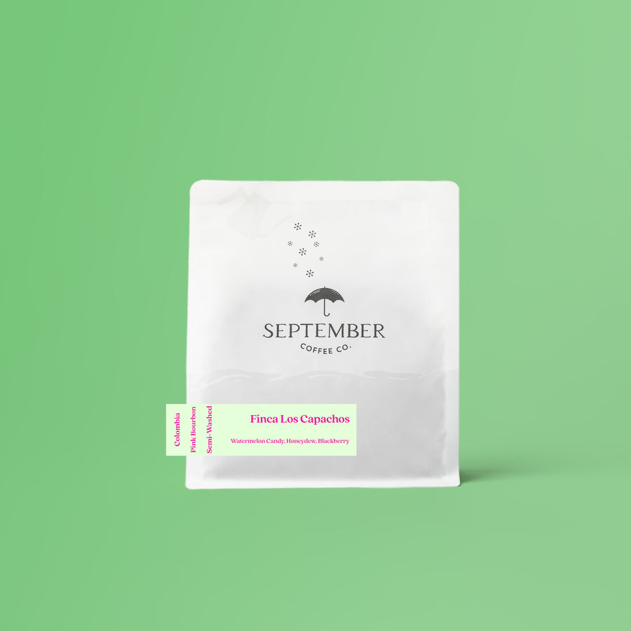 September - Finca Los Capachos (Colombia) - Washed Pink Bourbon | 50g