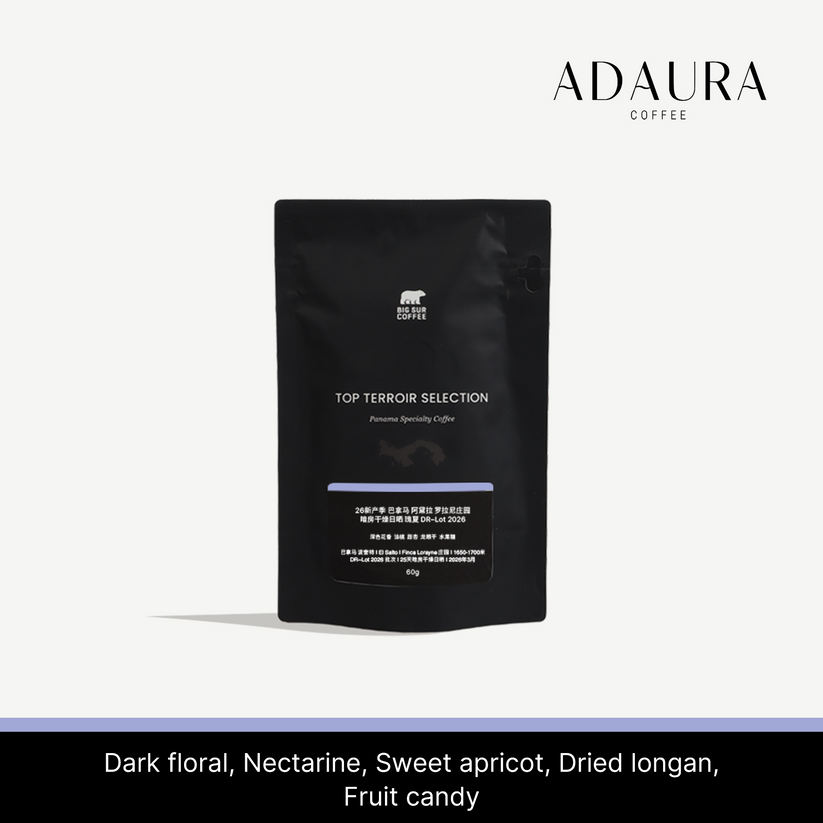 Big Sur - Finca Lorayne DR Lot 2026 (Panama) - Gesha | 60g
